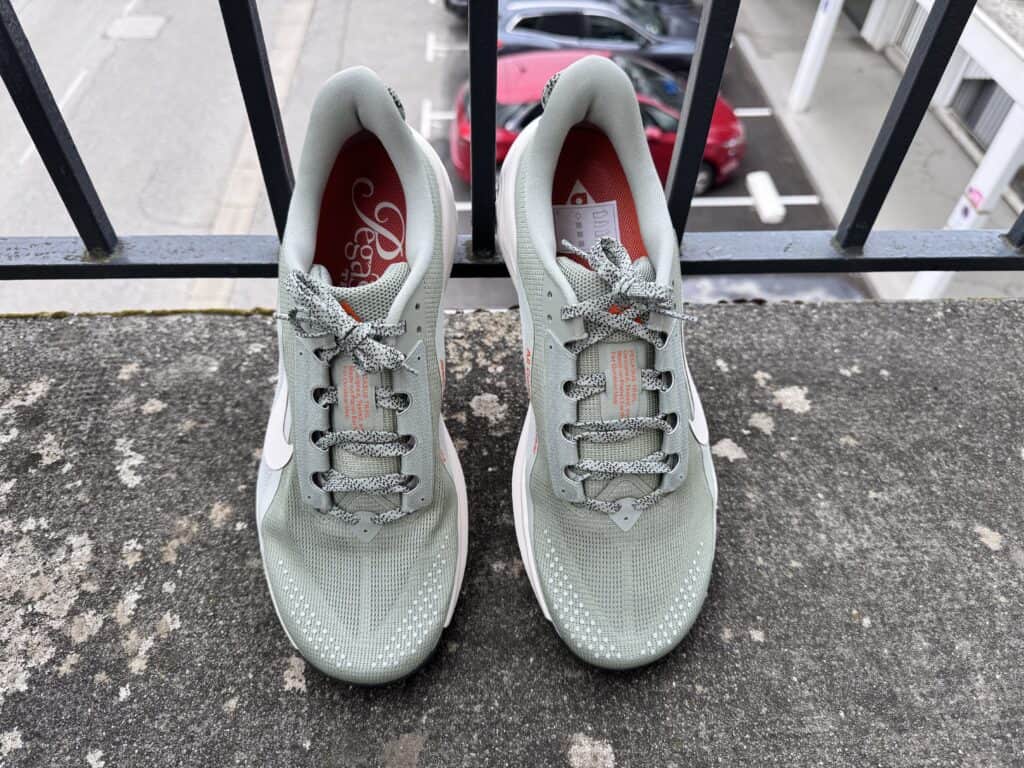 Photo of the Nike ACG Pegasus Trail Upper